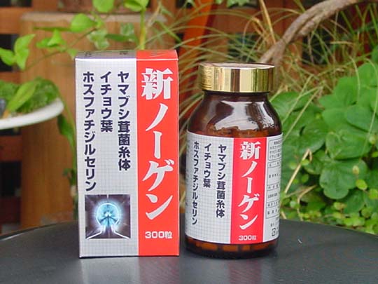 新ノーゲン